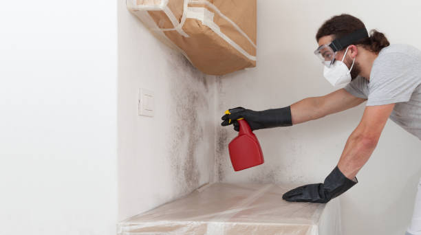 Professional Bathroom Mold Removal technician working in Bowie, MD
