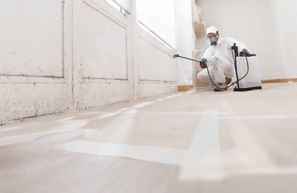 24/7 Emergency Bathroom Mold Removal experts in Bowie, MD