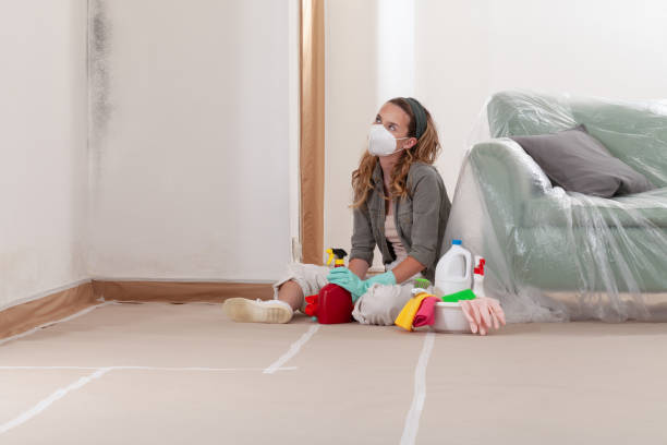 Reliable Bathroom Mold Removal contractor in Bowie, MD by Mold Remediation HQ